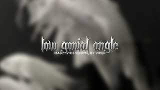 low gonial angle.