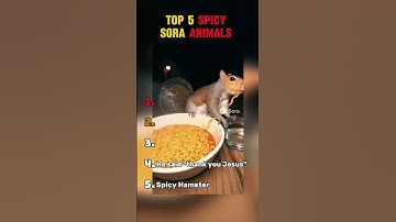 Top 5 spicy eating animals sora 2 videos #sora #funny #ranking #animals