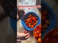 Does the tomatoes worth it ?