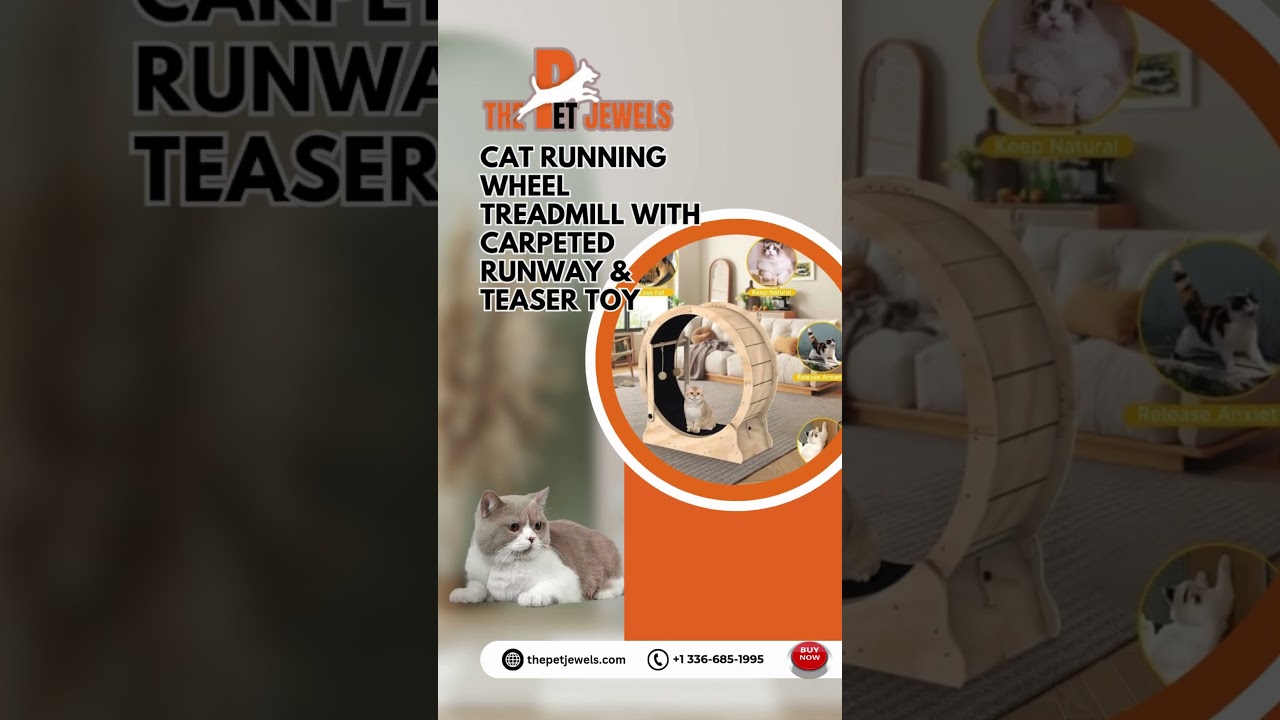 Cat Running Wheel Treadmill - Carpeted Runway with Teaser Toy