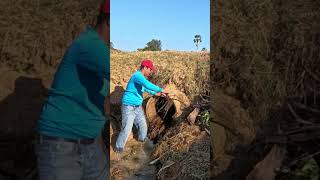 Culvert Cleanup Mission – Restoring Natural Water Flow