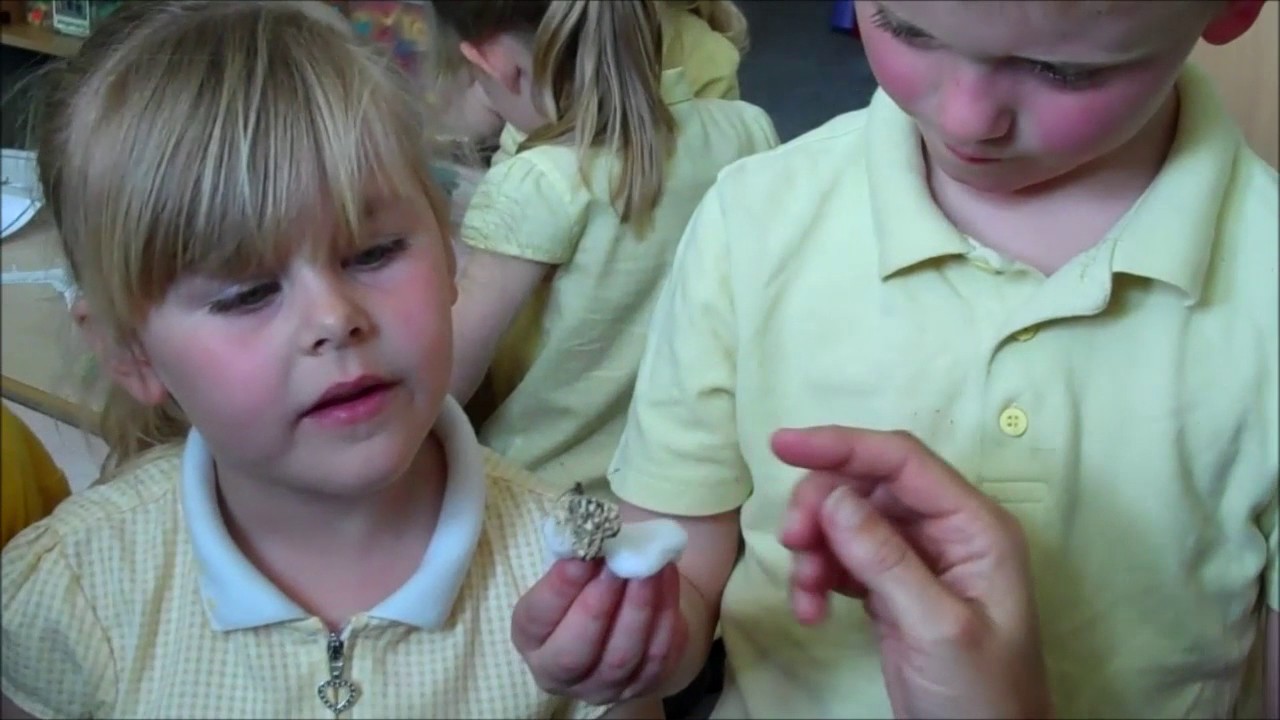 Welcome to Eastfield Primary School Foundation Stage 2017 New starters DVD June