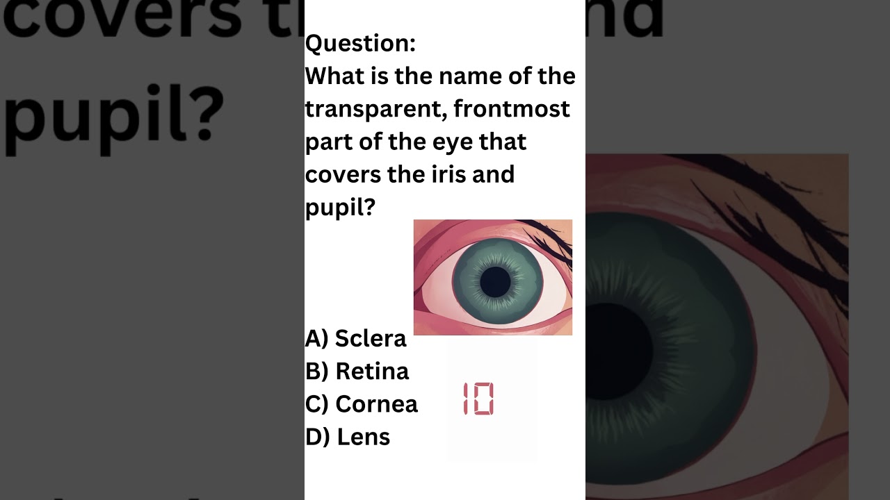 Eye Anatomy 101: Identify the Frontline Defender lol learnfromwhiz