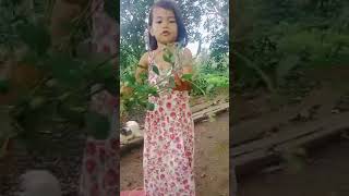 ano Ang halamang gamot sa kagat Ng ahas at aso...