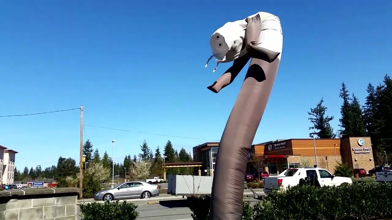 Black & White Sky Puppet  3 6 8 5