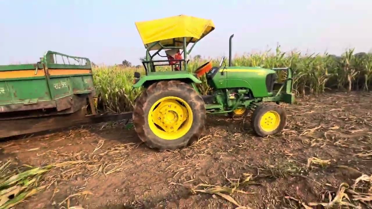 Khet Mai gaye john deere लेकर leke aaye janvro ke liye चारा 