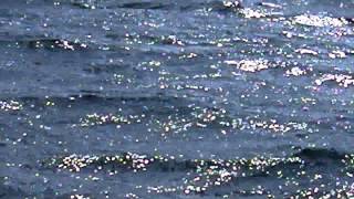 20120813 Sailing View from Laser 3