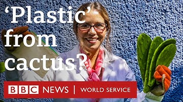 How to make biodegradable 