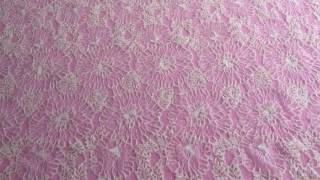 Ivory Corded Lace - Priya