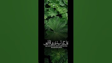 #تلاوة_خاشعة #تلاوة_هادئة #إسلام_صبحي #اسلام_صبحي #خواتيم_سورة_المؤمنون #سورة_المؤمنون #قرآن_كريم