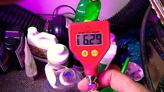 budget grow 1 update#7