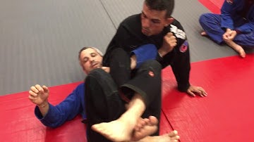 Bruno Cesar  - Deep Half Guard Counter - Straight Armbar