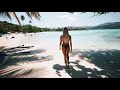 The Dominican Tree House Village | Samana Dominican Republic