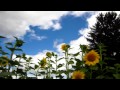 Summer Time-Lapse 2
