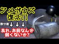 【ピクミン4実況②】シリーズやり込み勢なら初見でも犠牲20匹以内でクリアできる説【とこなぎの浜辺】