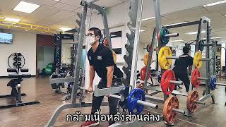 Smith Machine IFHC+IFHCS, Impulse by GG Health And Sport Ltd.