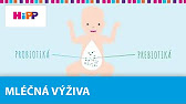 Co znamená britský odchod z Evropské unie?
