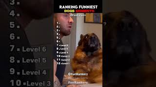 Ranking Funny Dogs Videos 🐶🤣 #dog #funny #shorts