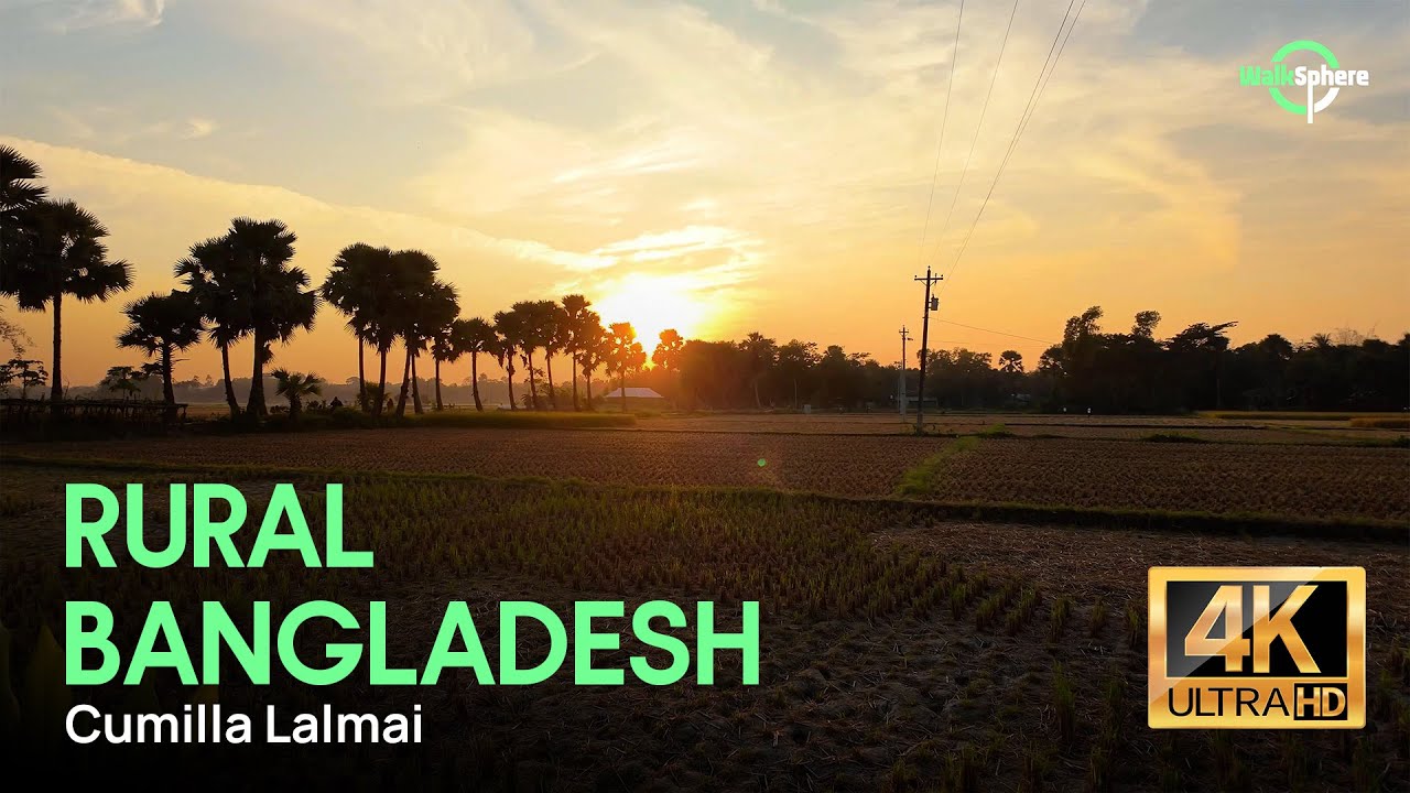 Rural Bangladesh Walking Tour | Lalmai Villages 4K | Daily Life & Nature