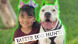 Audrey's Easter Egg Hunt! | All About Audrey