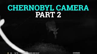 We checked our Chornobyl trail camera again. This is what it saw