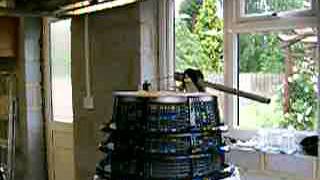 Dalek dome rotation