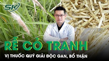 Rễ cỏ tranh: Vị thuốc quý giải độc gan, bổ thận | SKĐS