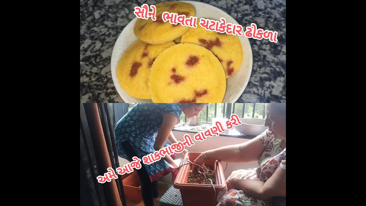 "Dhokla" Gujarati Recipe Vegetable Seed Sowing Ame Aaje Ghare