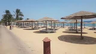 Fort Arabesque Resort SPA & Villas. Чем кормят туристов? Египет. Ноябрь 2021