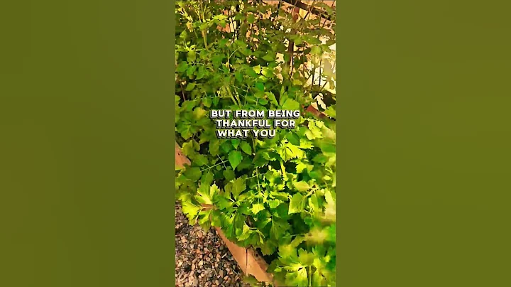 You have to listen to this❤️ #canada #motivation #motivational #inspiration #life #shorts