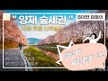 도심 속 숲세권 I 강남 양재동 신축빌라 I 투룸 월세 I 단기임대 구하기 I 풀옵션 I 보증금 없는 월세 I Gangnam apartment tour I 내부 구조 I 양재역