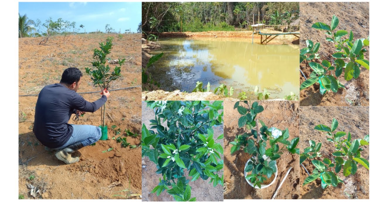 Muita coisas fizemos