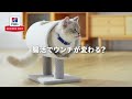 【サイエンス・ダイエット】腸活でウンチが変わる?