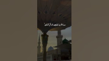 محمد رسول الله و الذين معه أشداء على الكفار رحماء بينهم || سورة الفتح || القارئ: ماهر المعيقلي