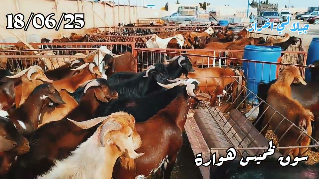 سوق المعز بهوارة إقليم تارودانت