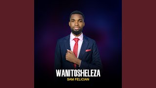 Wanitosheleza