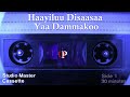 Haayiluu Disaasaa Yaa Dammakoo
