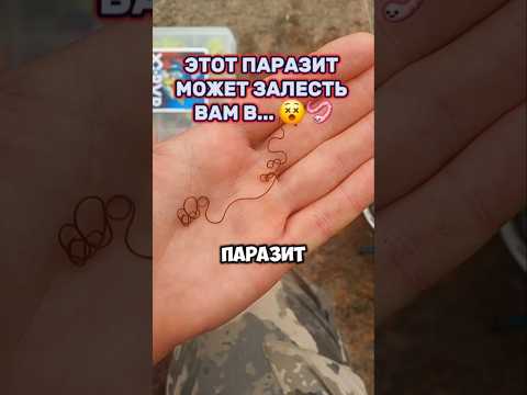 ⚠️ЭТОТ ПАРАЗИТ ЕСТ ВАС!😱 #shorts #horror #horrorshorts #мистика