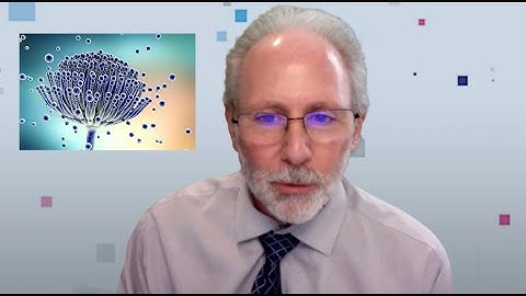 Clinical Pearls: Realtime Laboratories Mycotoxin Panel