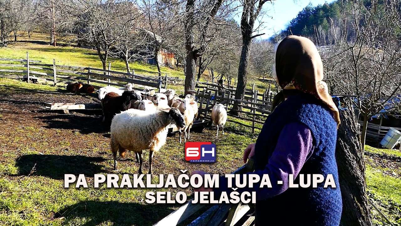 PRAZNA SELA VIŠEGRADSKA: Selo Jelašci - Pa prakljačom tupa lupa || ZAPISI PORED PUTA