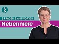 Nebenniere: 3 Fragen 3 Antworten | Asklepios