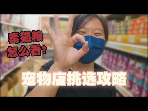 宠物店挑选攻略!这几款是传说中的毒猫粮?! 新手小白到宠物店怎么挑罐头和宠物粮? (中文字幕 + English CC Subtitles)
