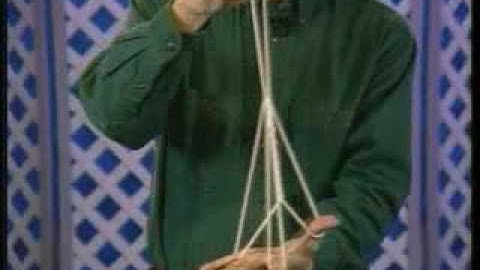 Excerpts from the DVD "String Magic from around the world".