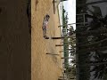 Childhood dreams in Kerala 🥳👌