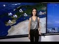نشرة الطقس الصباحية 30 01 2017 مع نور صوما