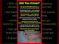Mind-Blowing Facts About Your Gut Feeling 🫃🧠