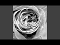 Black Roses (feat. 初音ミク)