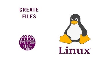 MTS | Linux touch and mkdir commands
