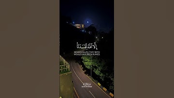 القارئ بدر العلي | سورة الأنبياء