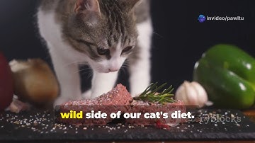 Is Raw Meat Safe for Cats? 🥩🐱 Hidden Dangers You NEED to Know!